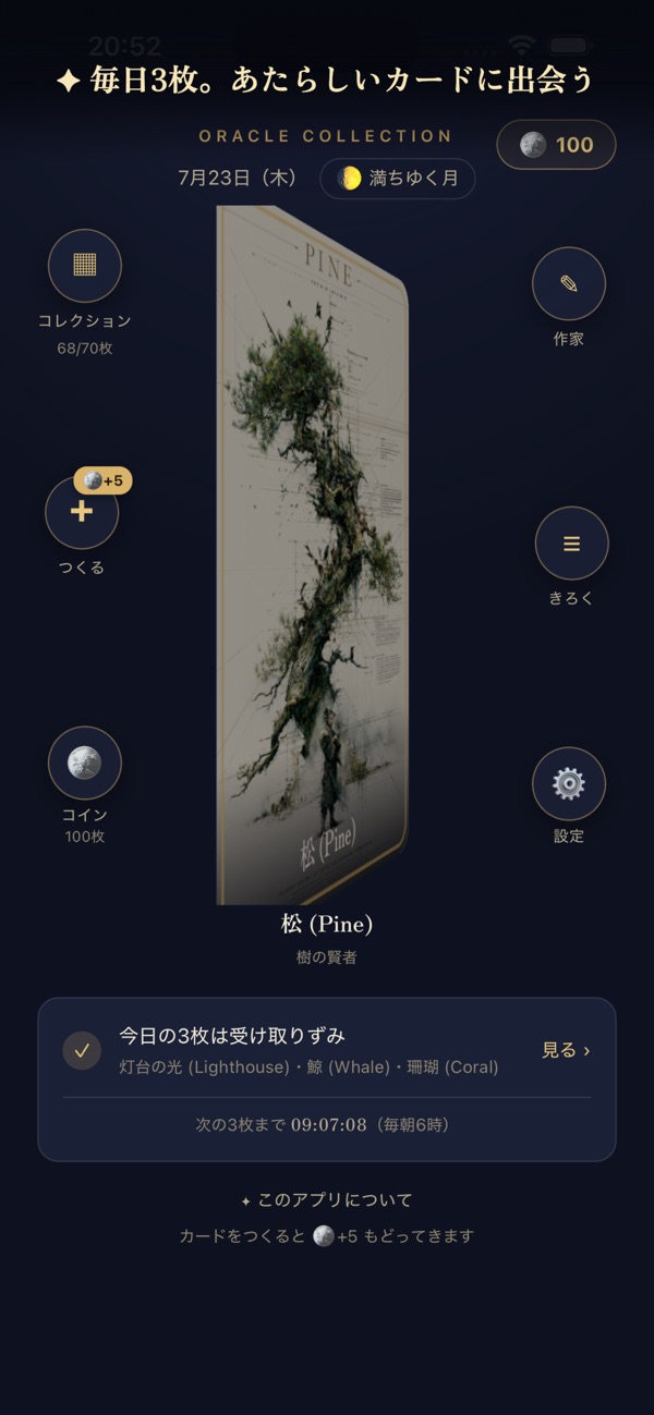Oracle Collection 画面